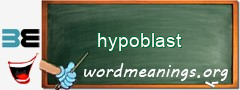 WordMeaning blackboard for hypoblast